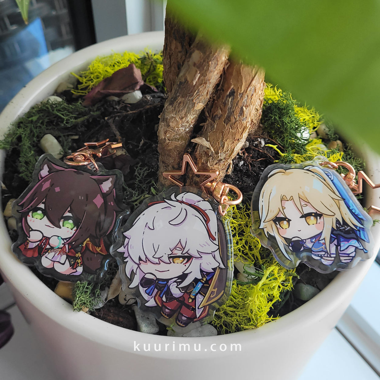 Honkai Star Rail Charms